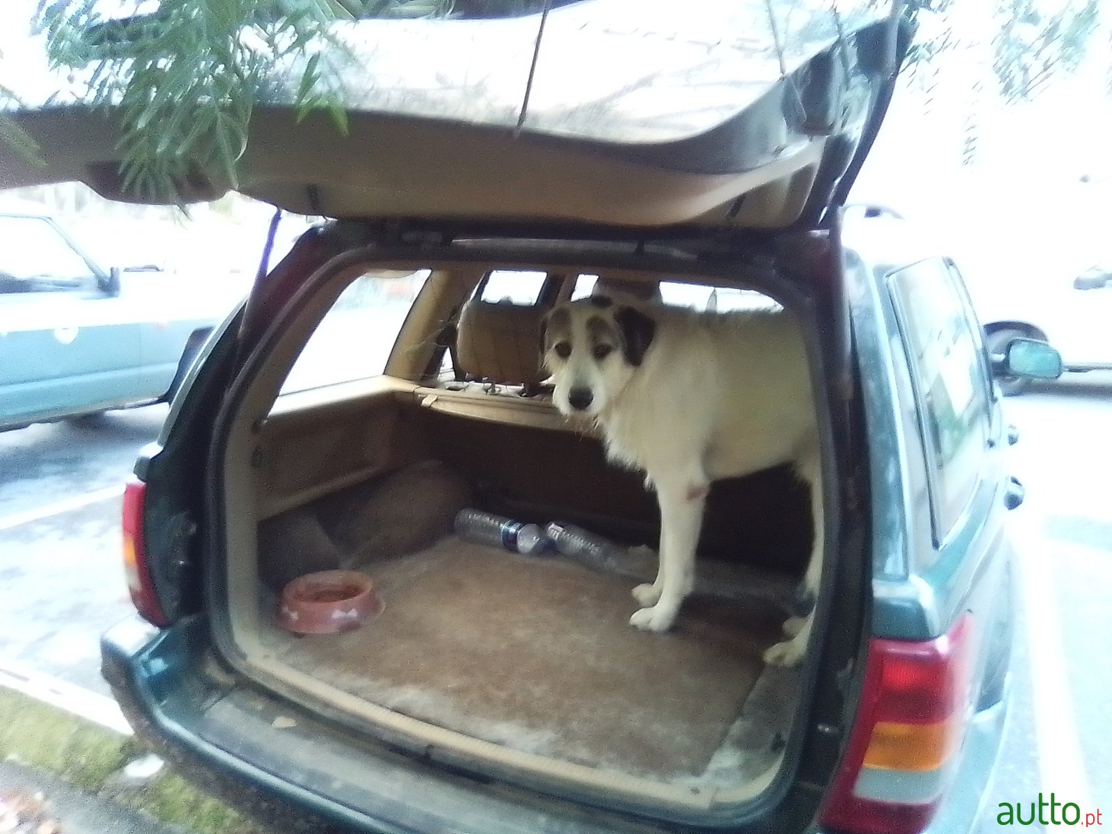 2000' Jeep Grand Cherokee photo #2