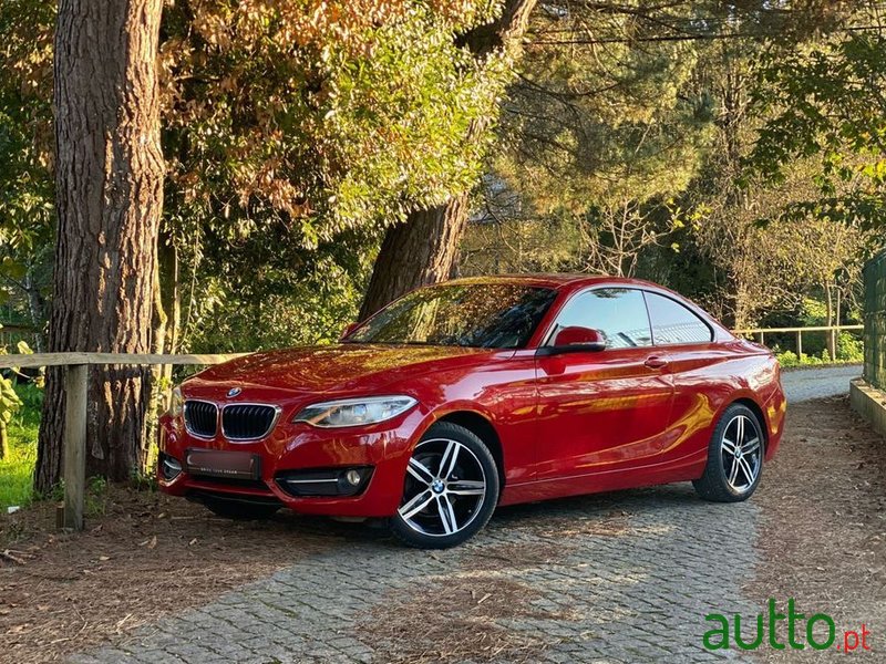 2014' BMW 218 photo #1