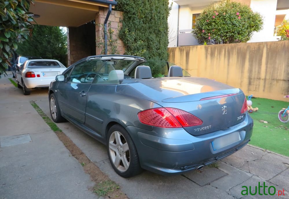 2005' Peugeot 307 2.0 Sport photo #1