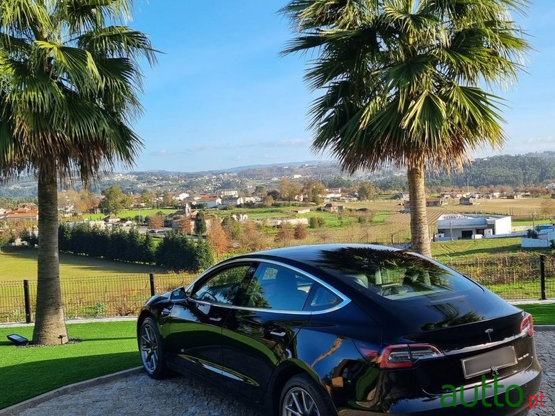 2019' Tesla Model 3 photo #5