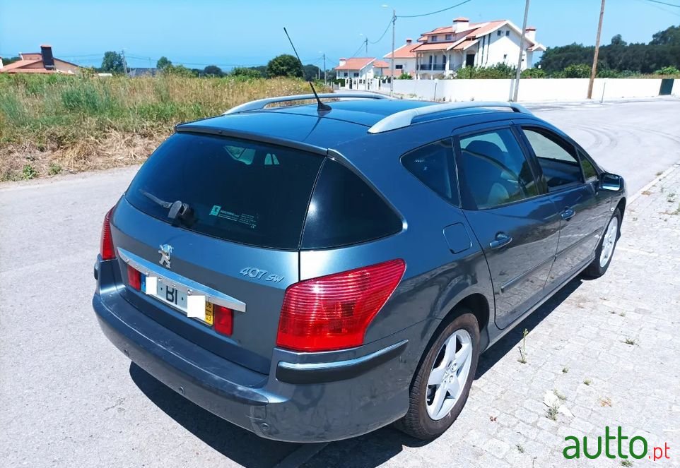 2006' Peugeot 407 Sw photo #4