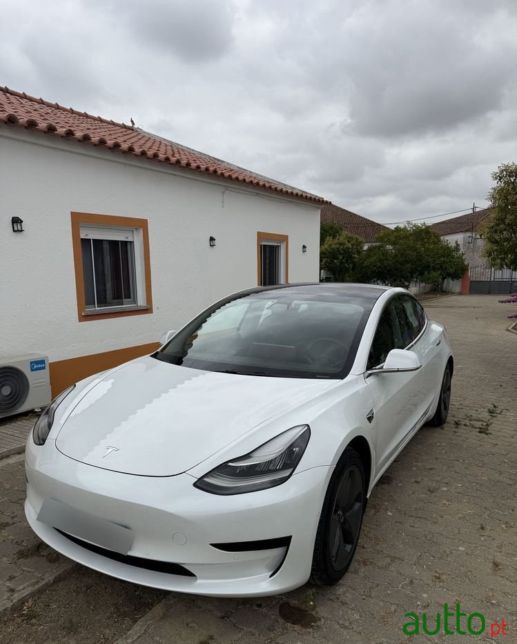 2020' Tesla Model 3 photo #5