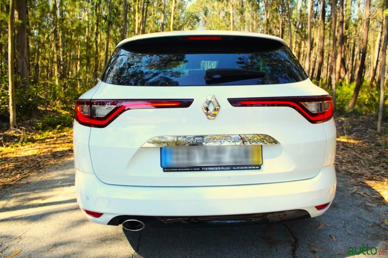 2019' Renault Megane Sport Tourer photo #6