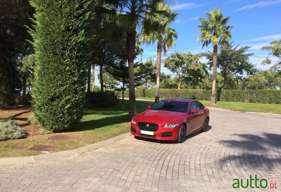 2015' Jaguar Xe photo #4
