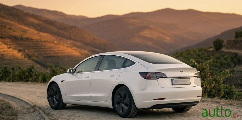 2019' Tesla Model 3 photo #2
