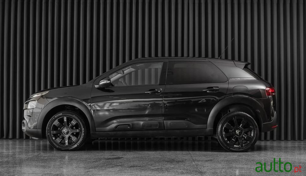 2019' Citroen C4 Cactus photo #1