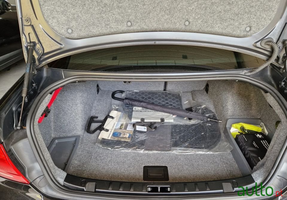 2011' BMW 320 photo #6