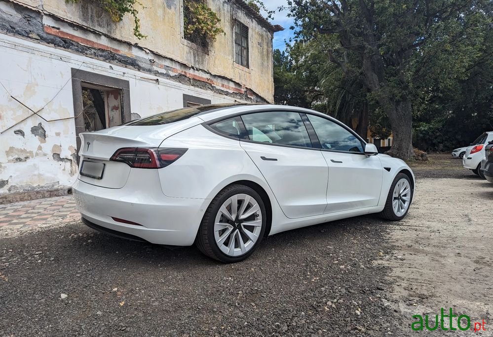 2021' Tesla Model 3 photo #5