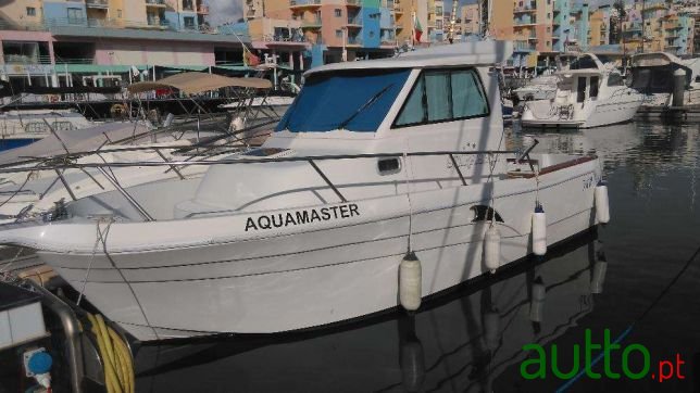 1999' Starfisher photo #1