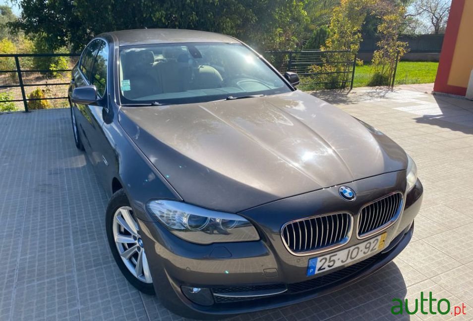 2010' BMW 525 Ver-D photo #2