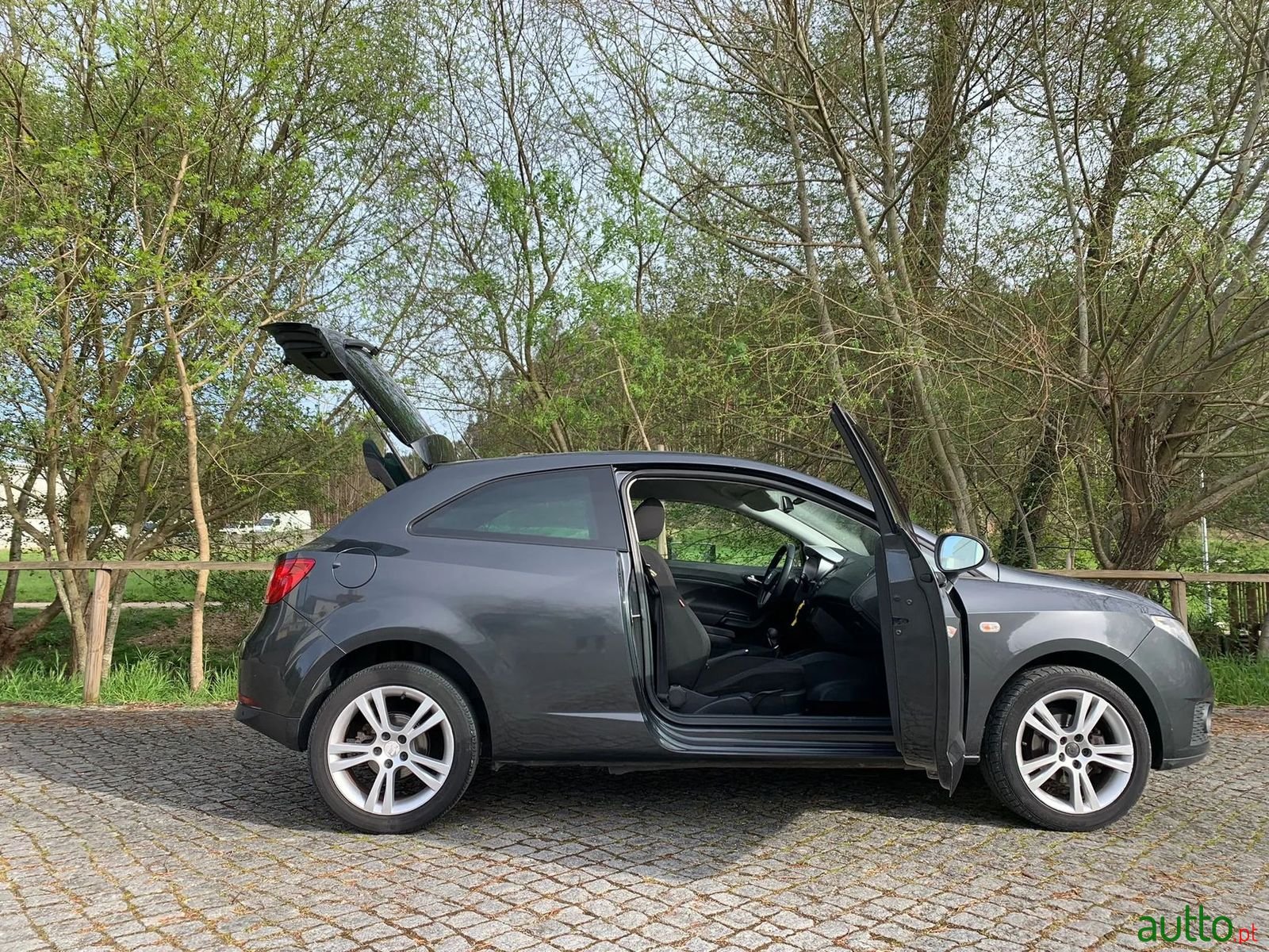 2009' SEAT Ibiza photo #4