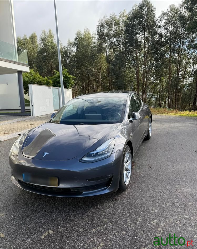 2019' Tesla Model 3 photo #1