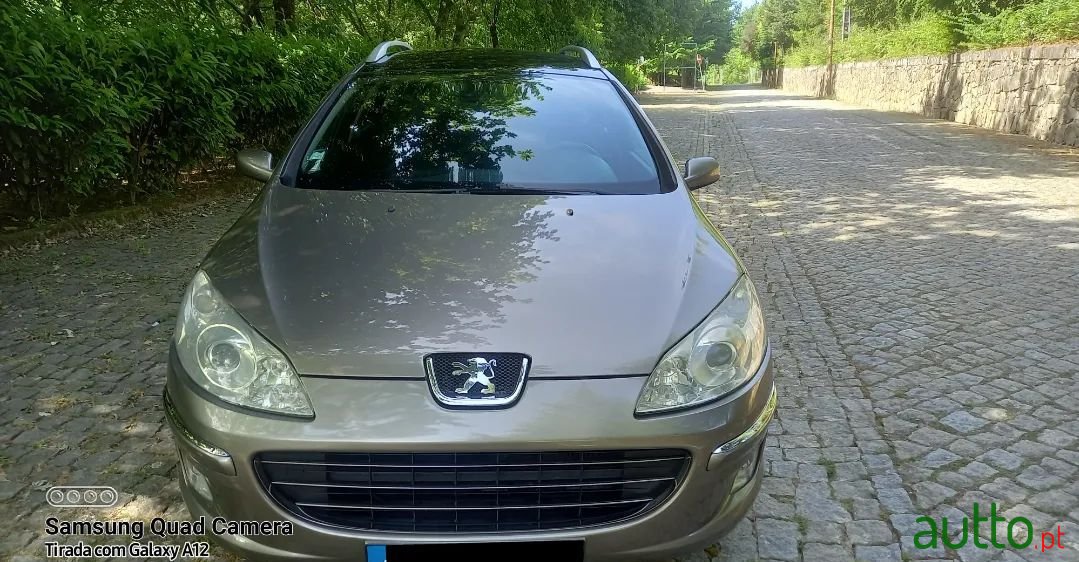 2007' Peugeot 407 Sw photo #3