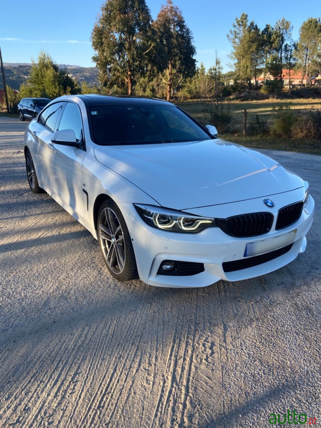 2019' BMW 420 Gran Coupe photo #3