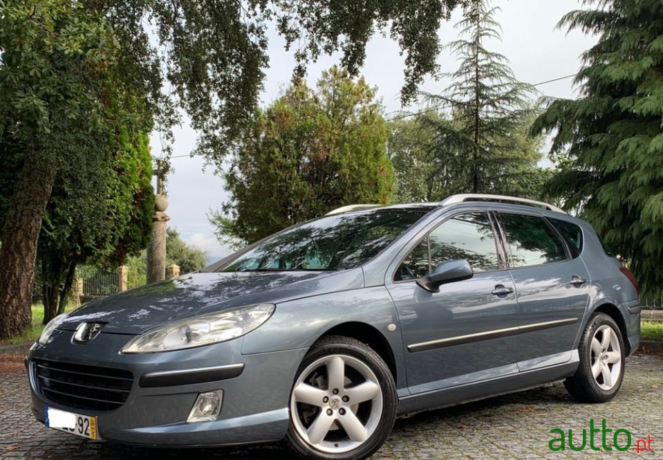 2004' Peugeot 407 Sw photo #1