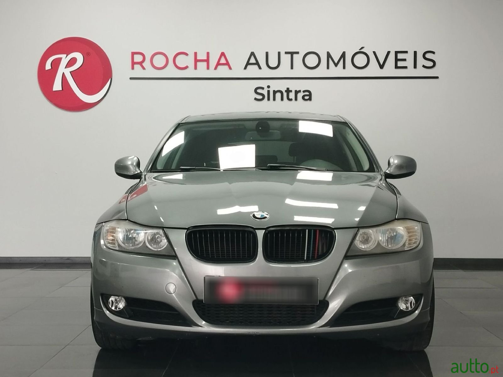 2012' BMW 318 photo #2