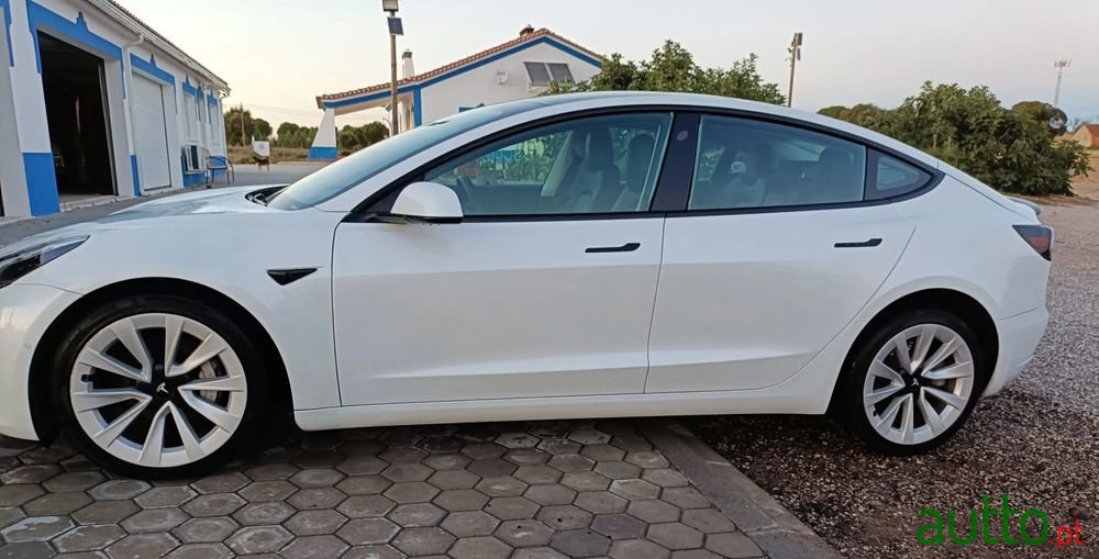 2020' Tesla Model 3 photo #4