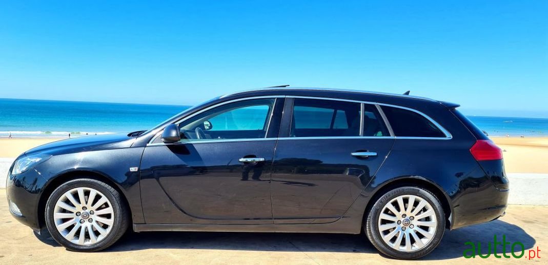 2010' Opel Insignia Sports Tourer photo #1