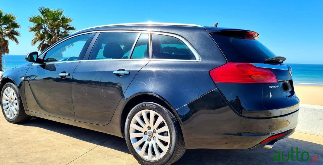 2010' Opel Insignia Sports Tourer photo #2