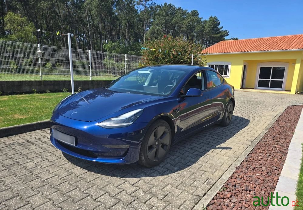 2021' Tesla Model 3 photo #1