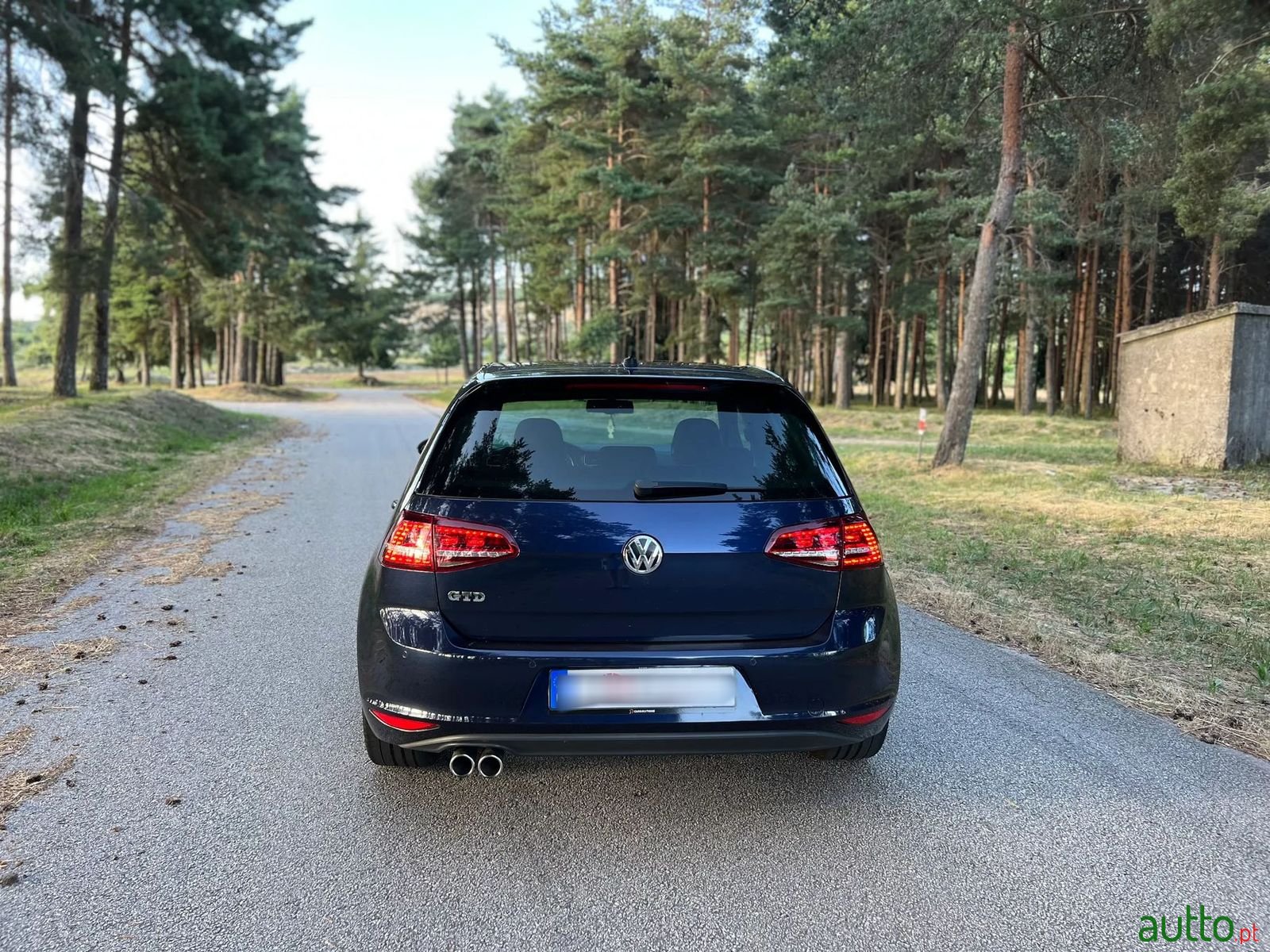 2013' Volkswagen Golf photo #4