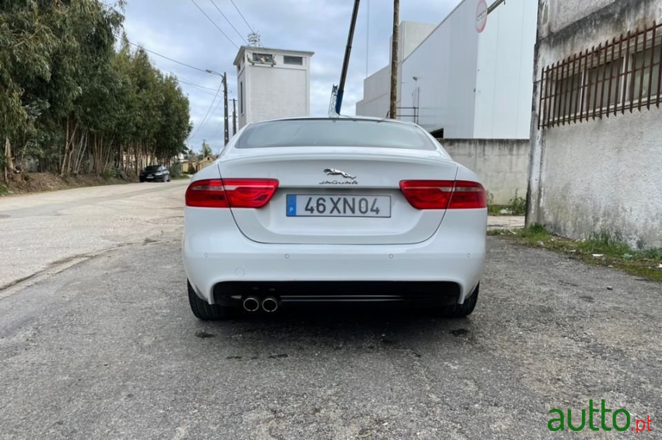 2016' Jaguar Xe photo #4