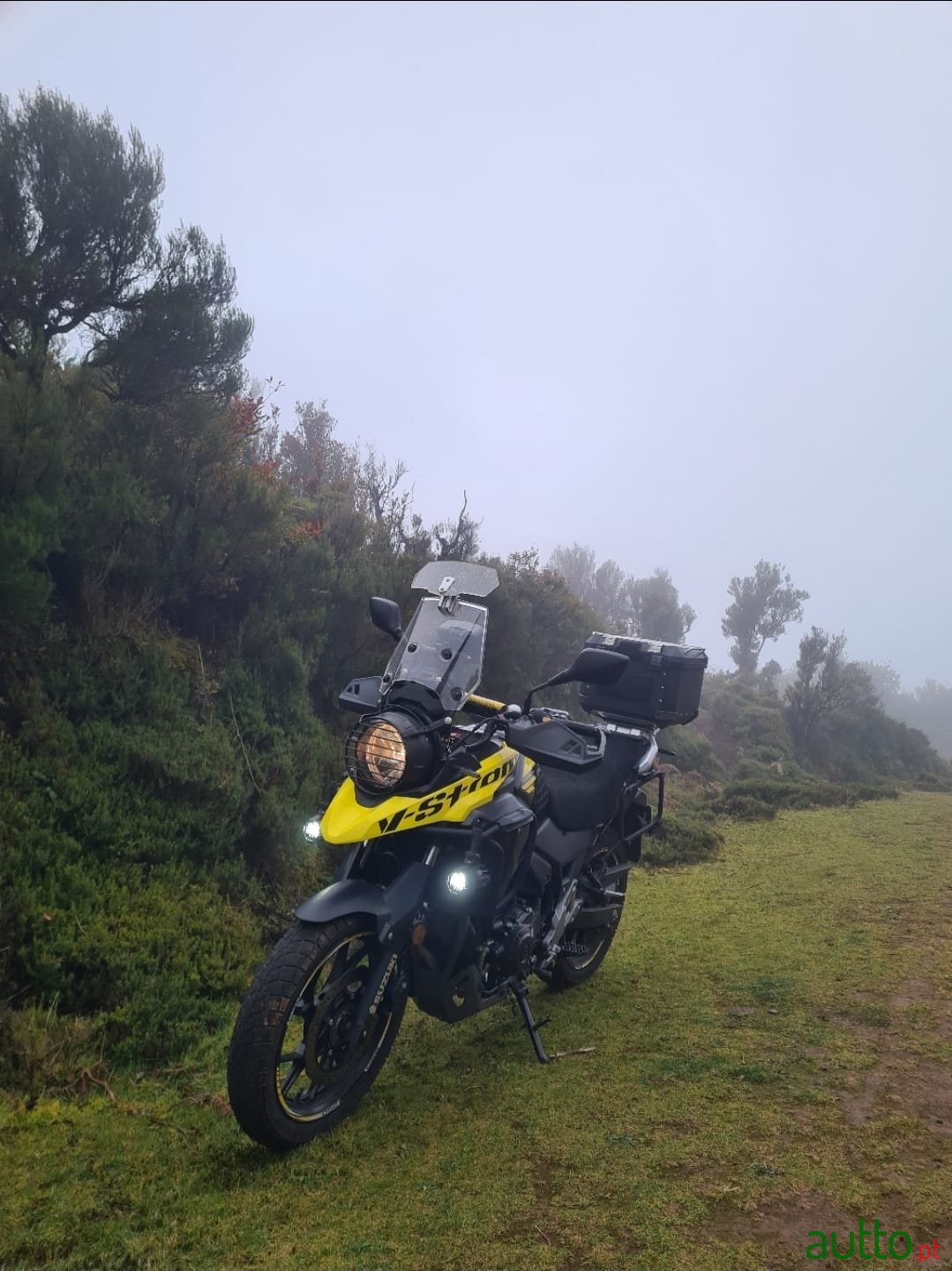 2018' Suzuki photo #1