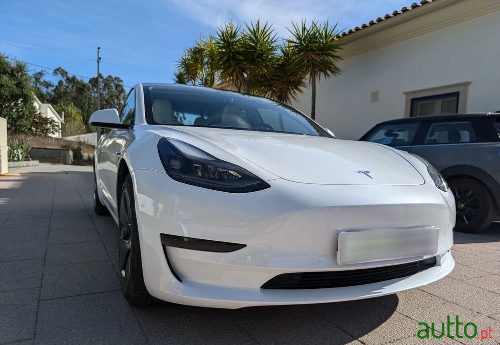 2021' Tesla Model 3 photo #1