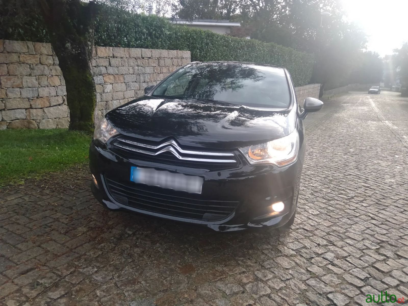 2010' Citroen C4 photo #1