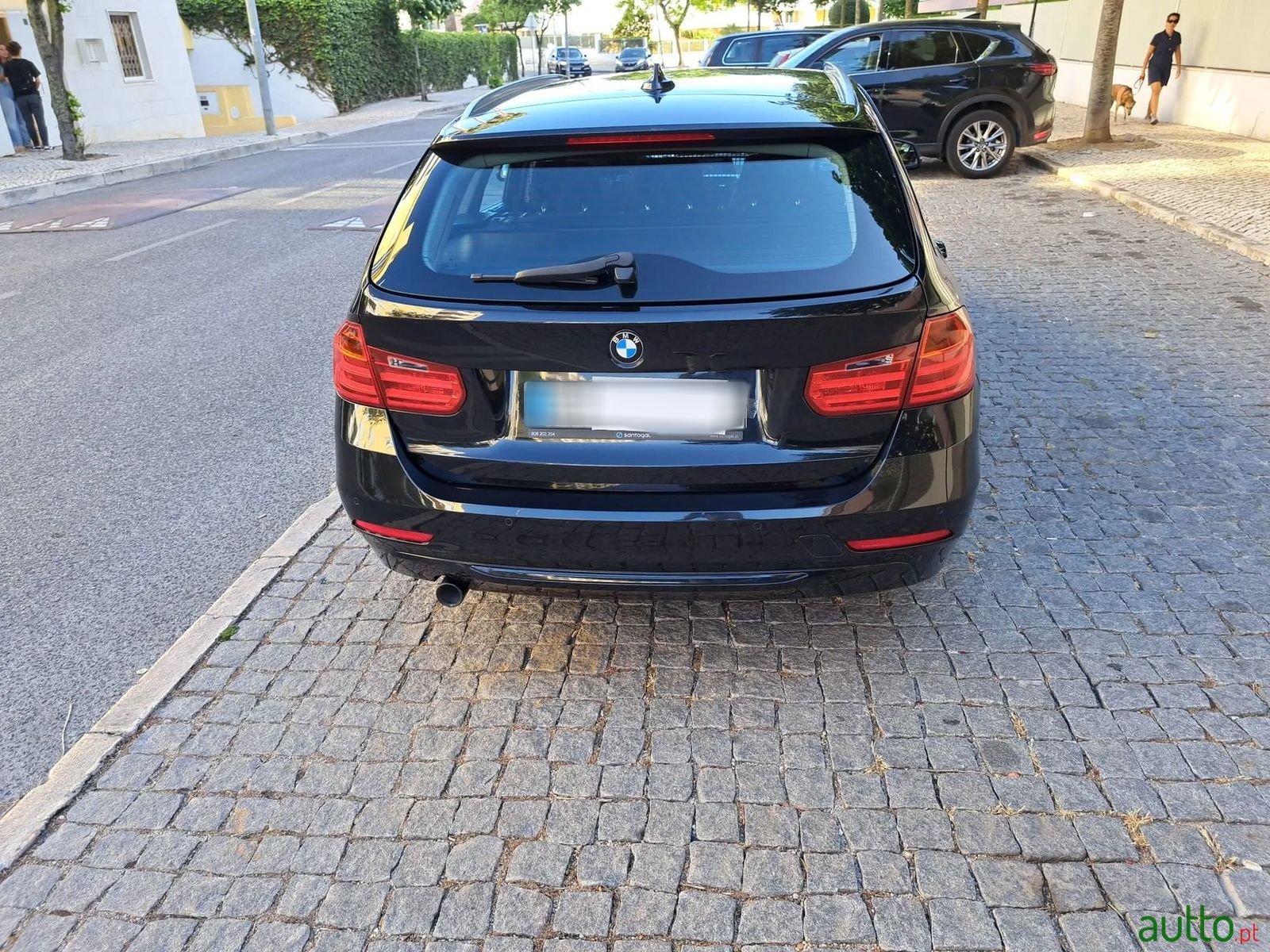 2013' BMW 318 photo #2