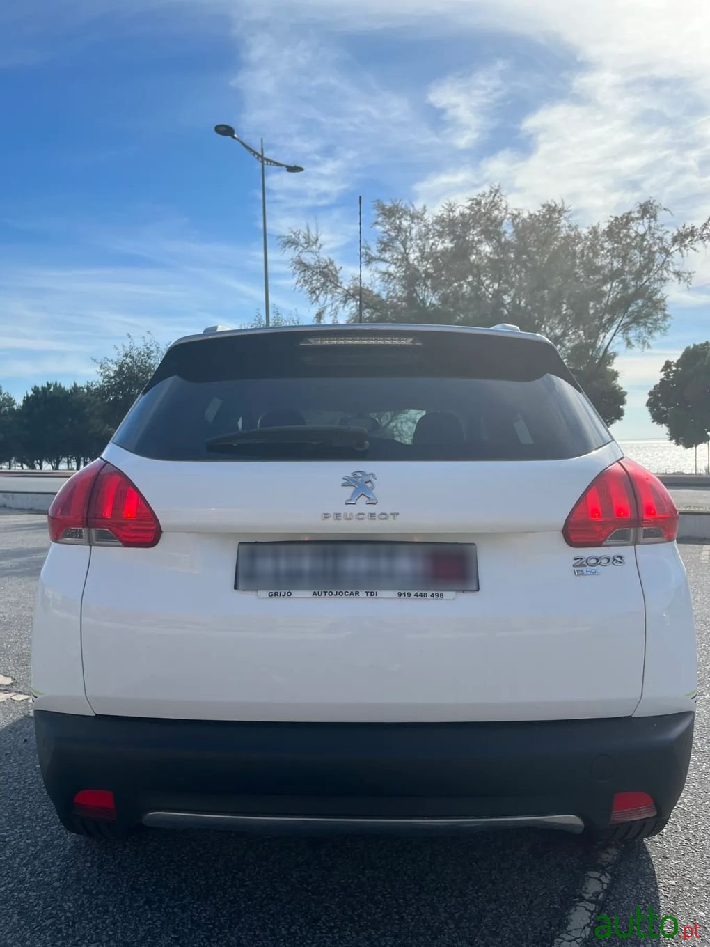 2014' Peugeot 2008 photo #6