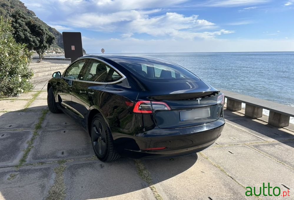 2020' Tesla Model 3 photo #2