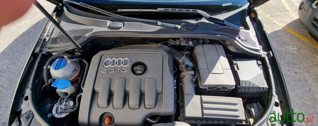 2006' Audi A3 Sportback photo #2