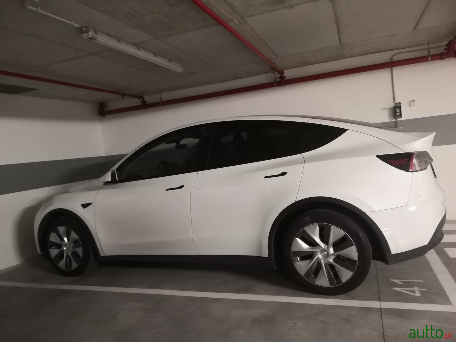 2023' Tesla Model Y photo #2