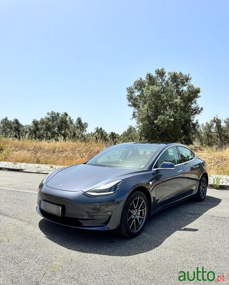 2019' Tesla Model 3 photo #2