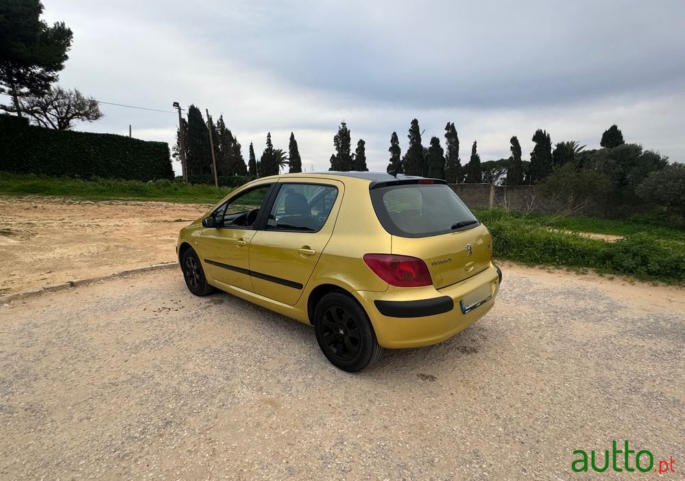 2002' Peugeot 307 photo #2