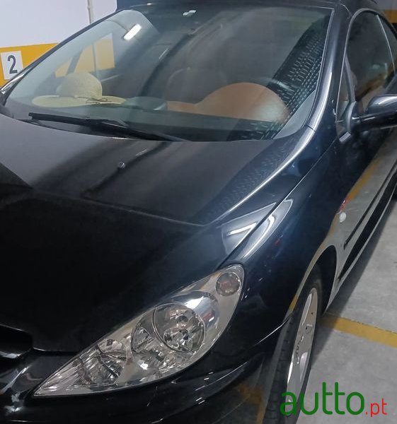 2004' Peugeot 307 1.6 Dynamique photo #5