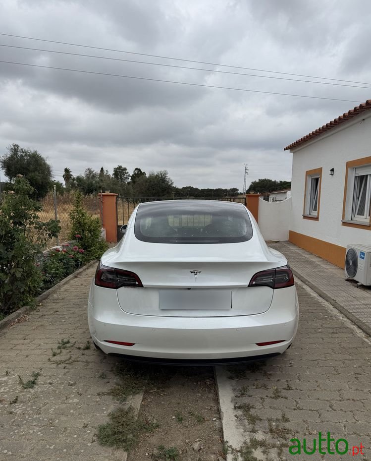 2020' Tesla Model 3 photo #2