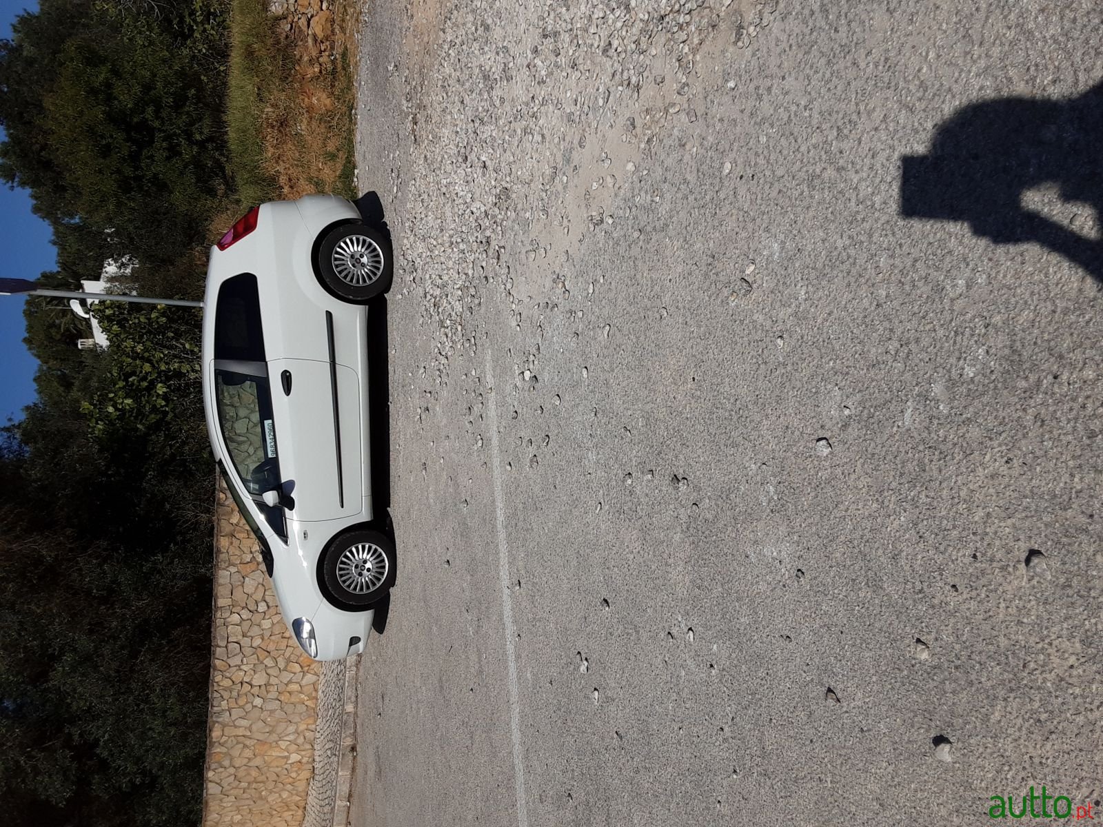 2009' Fiat Punto photo #2