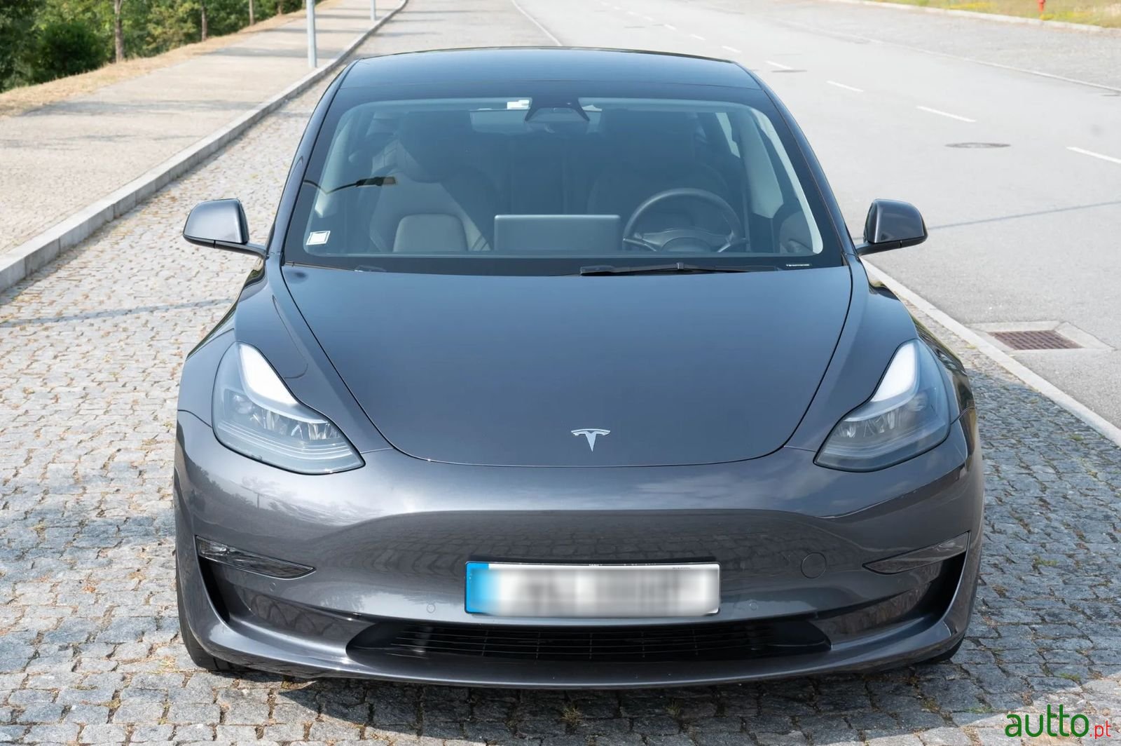 2021' Tesla Model 3 photo #2