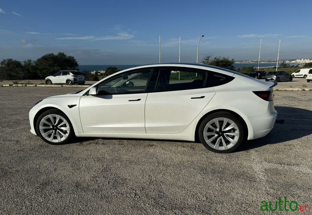 2021' Tesla Model 3 photo #1