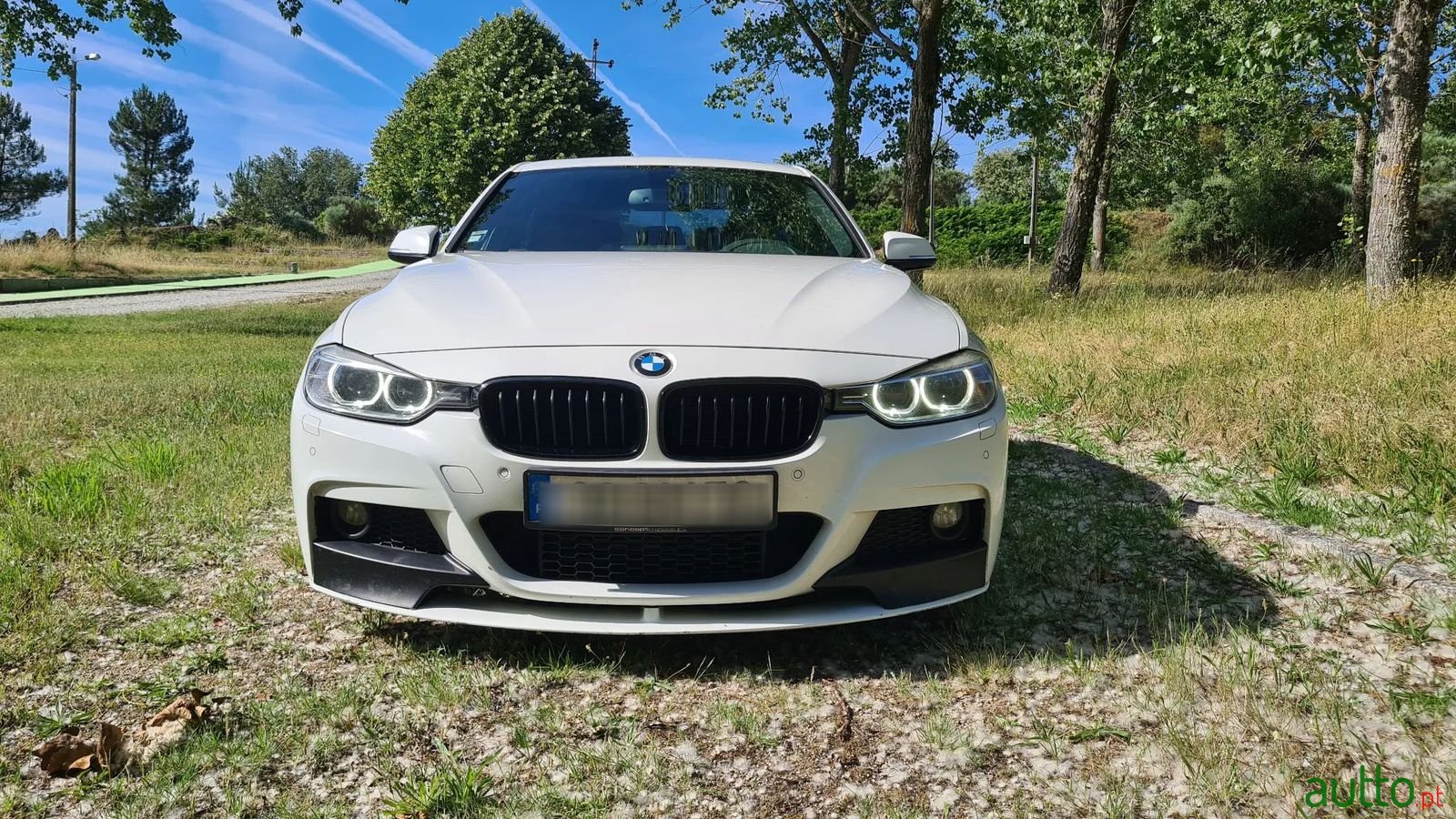 2013' BMW 320 photo #1