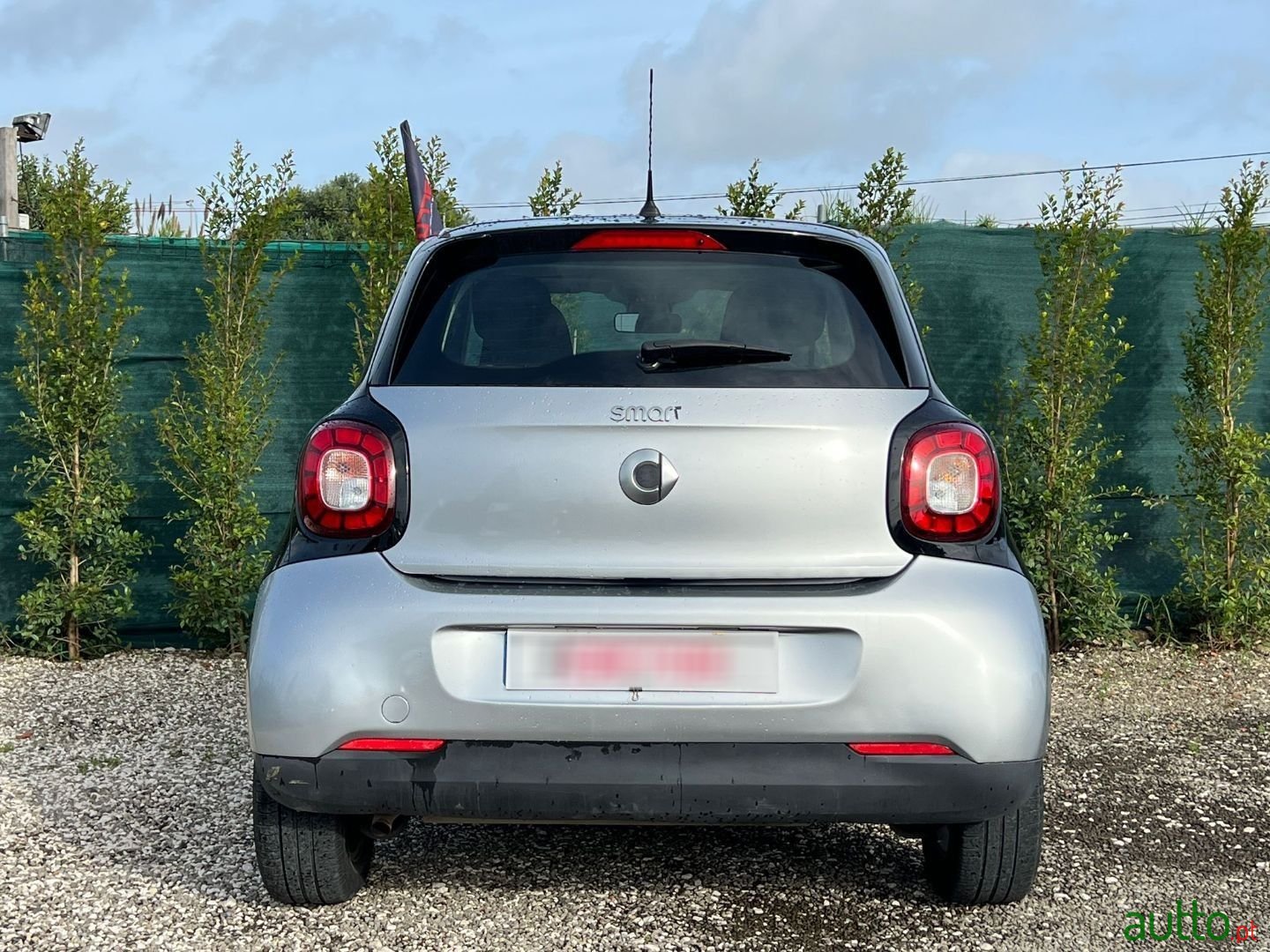 2016' Smart Forfour photo #3