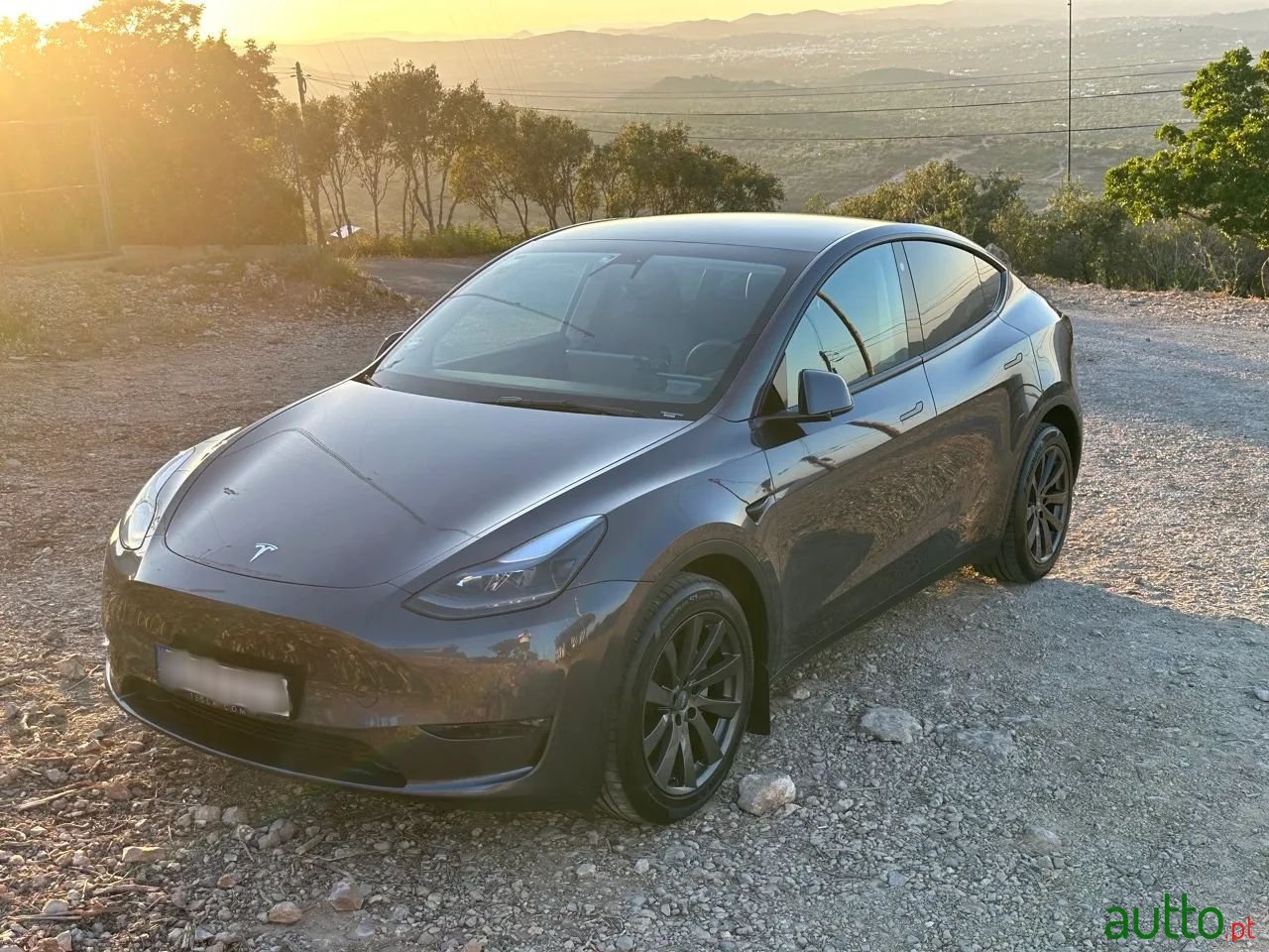 2022' Tesla Model Y photo #1