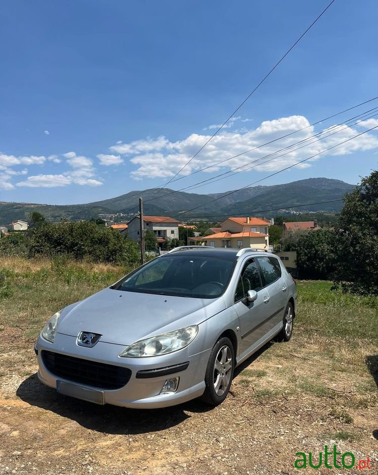 2007' Peugeot 407 Sw photo #2