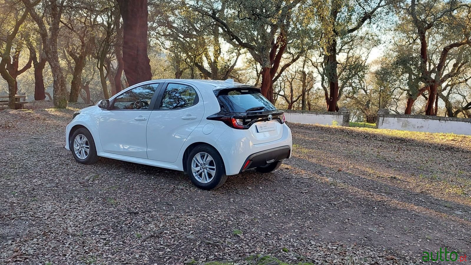 2021' Toyota Yaris photo #3