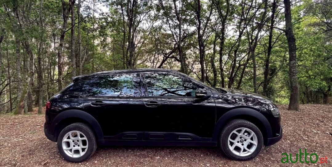 2018' Citroen C4 Cactus photo #4