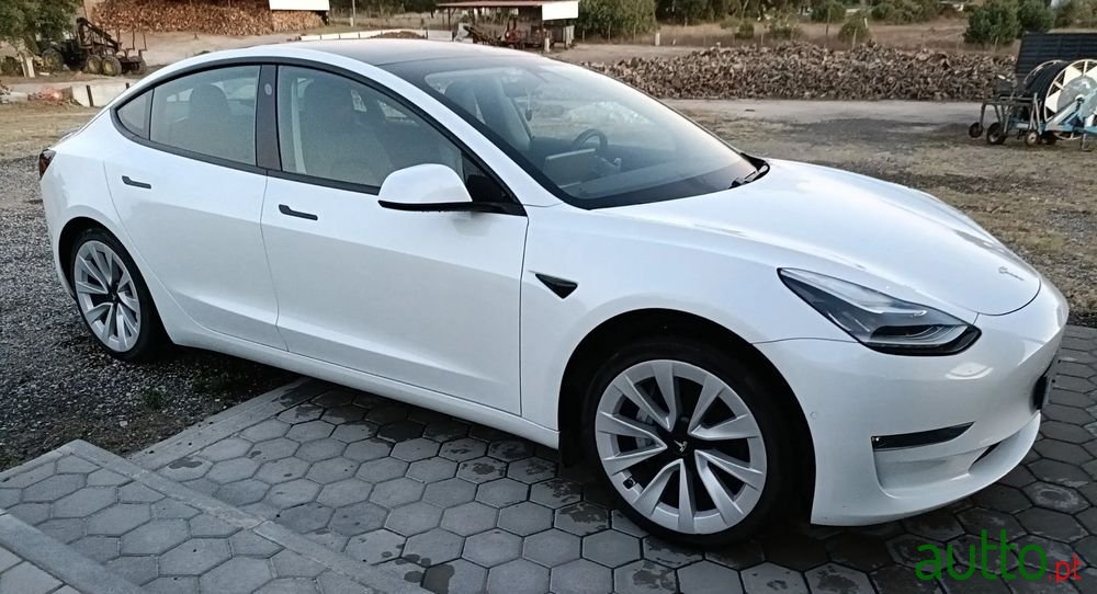 2020' Tesla Model 3 photo #1