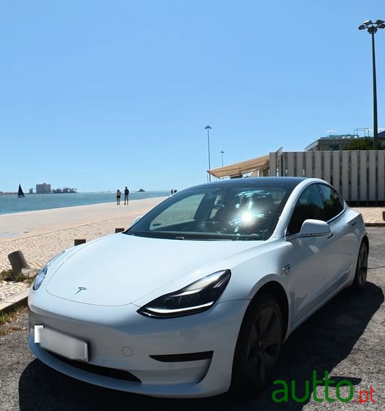 2020' Tesla Model 3 photo #1