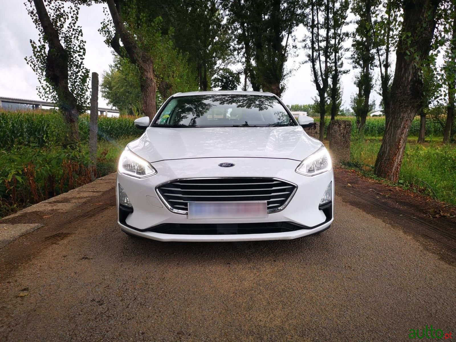 2018' Ford Focus photo #3